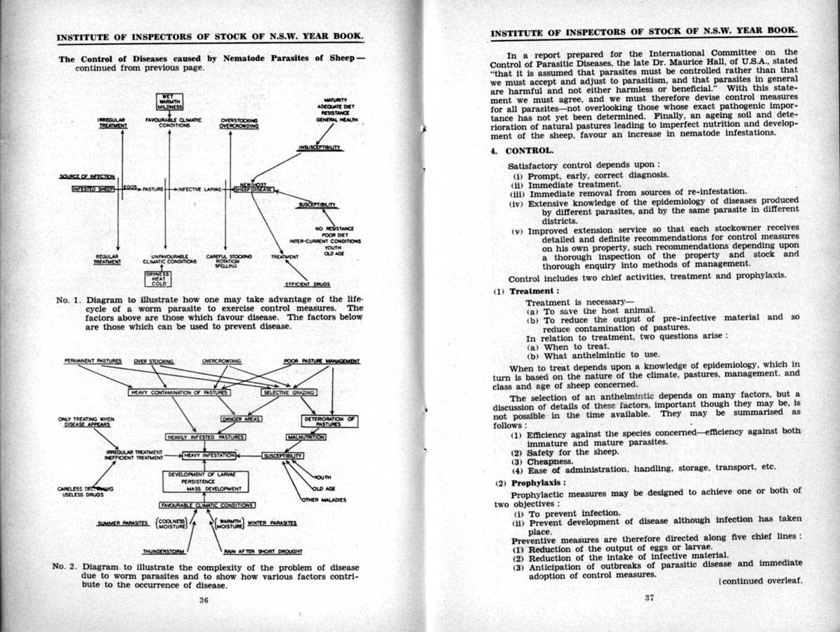 1939 Page 36 37